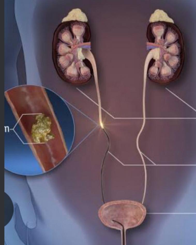 WhatsApp Image 2025-09-01 at 07.49.09_5728c8e4